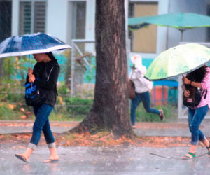 TP.HCM mưa giải nhiệt trên diện rộng