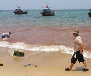 Vệt nước ở Quảng Bình không phải là thủy triều đỏ