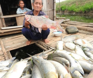Công an Thanh Hóa vào cuộc vụ cá chết trên sông Bưởi