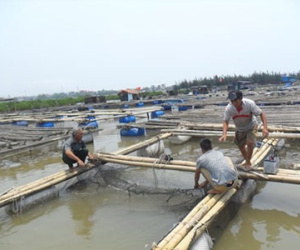 Ảnh bìa bài viết 360428