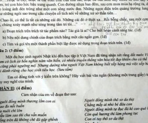 “Người Việt không biết xếp hàng” vào đề Văn lớp 9