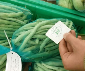 Sự thật nhức nhối về “rau an toàn” cho siêu thị