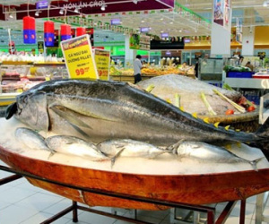 Xin Big C giảm chiết khấu về 15% để tồn tại