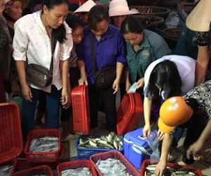 Không phát hiện xyanua, phenol trong hải sản ở Hà Tĩnh