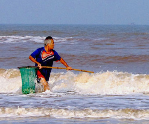 Hàm lượng sắt hai bãi tắm ở Hà Tĩnh vượt ngưỡng