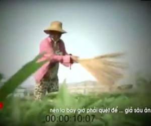 Tối nay, VTV sẽ thông tin vụ phóng sự dùng chổi quét rau