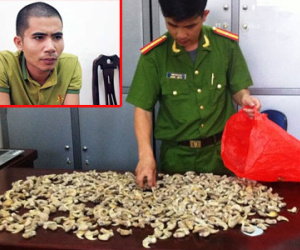 Trữ gần 700 móng vuốt nghi của chân hổ trong nhà