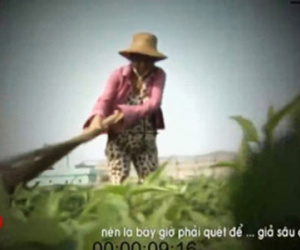 Người phụ nữ dùng chổi quét rau trong phóng sự của VTV lên tiếng