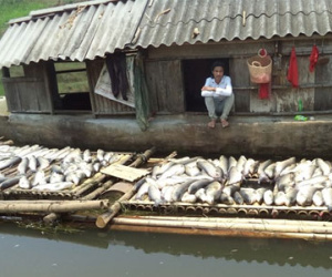 Thanh tra toàn diện các cơ sở xả thải ra sông Bưởi