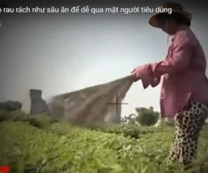 Thông tin mới nhất về lùm xùm sau phóng sự "cây chổi quét rau"
