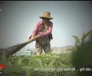 Yêu cầu VTV giải trình về phóng sự “Cây chổi quét rau”