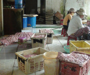 6 tấn lòng heo thối suýt 'hô biến' thành đặc sản quán nhậu