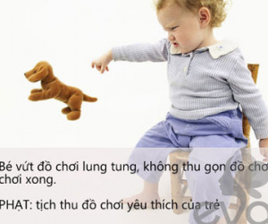 Ảnh bìa bài viết 361666