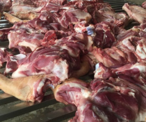 Kinh hãi đánh tráo heo dính chất cấm để giết mổ bán ra thị trường
