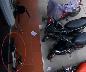 Người đi Air Blade trộm xe đạp bị camera ghi hình