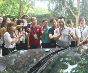Từ tháng 7 bắt đầu ứng dụng công nghệ thu phí đường bộ không dừng