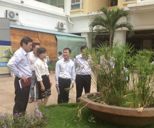 Vi rút Zika xuất hiện tại quận 7 TP.HCM