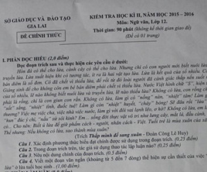Lãnh đạo Sở GD khẳng định đề thi Văn gây "hại não" không có sai sót