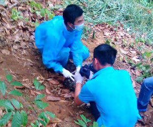 Phát hiện thi thể nam giới đang phân hủy trên đèo Chuối