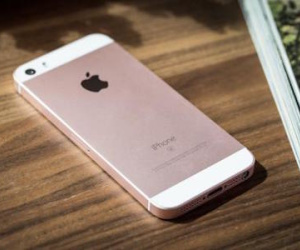 Ảnh bìa bài viết 362421