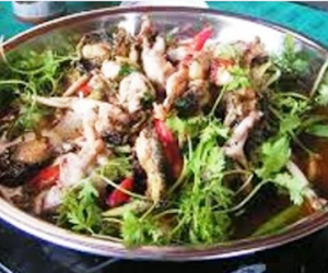 Ăn khổ qua xào với cóc nhái, cháu bé tử vong