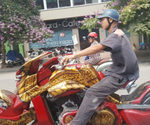 Chiếc "Long xa" gây ầm ĩ đường phố Hà Nội