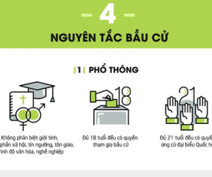 4 nguyên tắc cơ bản về bầu cử ở Việt Nam