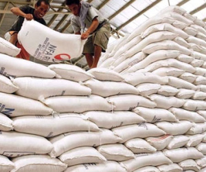 Gạo Việt ra sao nếu Thái Lan xả kho kỷ lục