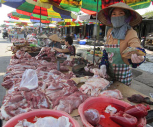 Sợ “lợn bệt”, dân không dám ăn