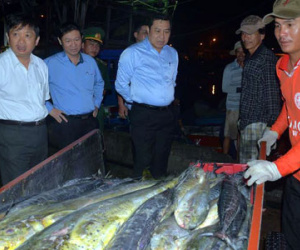 Chủ tịch Đà Nẵng bất ngờ thăm, động viên ngư dân lúc giữa đêm