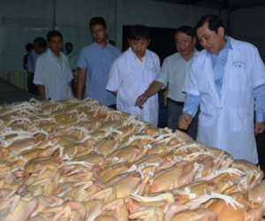 Lãnh đạo Đà Nẵng "vi hành" lúc rạng sáng