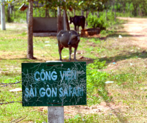 TP HCM thanh tra toàn diện dự án Sài Gòn Safari