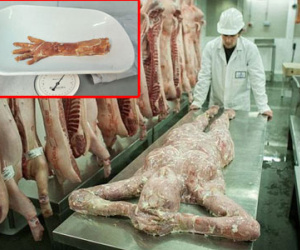 Truy ra nguồn cơn vụ "Trung Quốc đóng hộp thịt người"