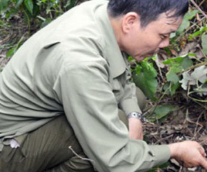 Án mạng đau lòng, con trai dùng dao đâm chết bố đẻ