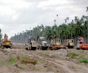 26 nhà thầu bị Bộ Giao thông đánh giá chưa đáp ứng yêu cầu