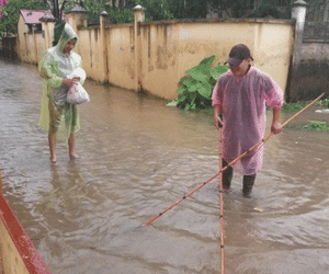 Hà Nội: Sau trận mưa lớn, người dân ra đường bắt cá