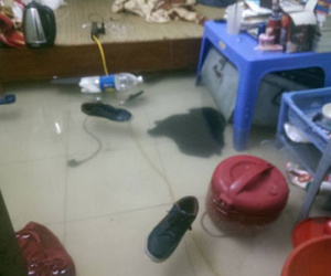 Buổi sáng ngập lụt kinh hoàng của nhiều người dân Hà Nội