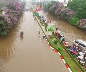 Ảnh bìa bài viết 364526