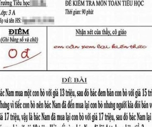 "Đau đầu" với bài toán tính lãi bán bò của học sinh lớp 3