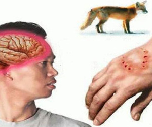 Lý giải việc cứ đến đám tang là phát dại?