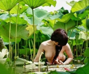 Mùa sen năm nay, hy vọng không có những cảnh nhức mắt này