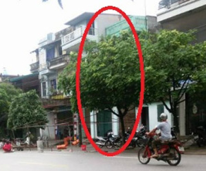 Vụ chồng giết vợ ở Bắc Giang: Nghi vợ ngoại tình, nhiều lần đi rình