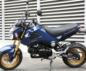 Honda MSX 125 bán dưới giá đề xuất gần 5 triệu đồng