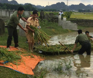 Ảnh bìa bài viết 365204