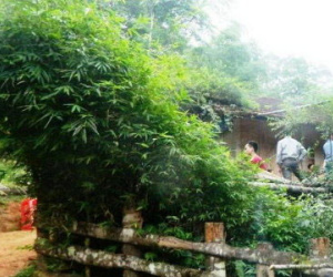 Chồng bò đi kêu cứu vợ bị cướp giết trong đêm