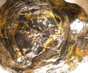 Bi hài đại gia vung tiền “săn” gỗ hóa thạch “triệu năm” để giải độc, trường thọ