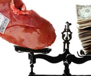 Bí mật khủng khiếp lời rao "từ thiện" 1/3 lá gan giá 1 tỷ