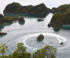 Indonesia bắt tàu cá Việt Nam