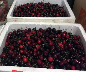 Bay từ Mỹ về Việt Nam, thùng cherry bị vơi mất 1/3