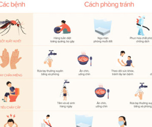 Phòng tránh 8 bệnh mùa hè dễ gặp